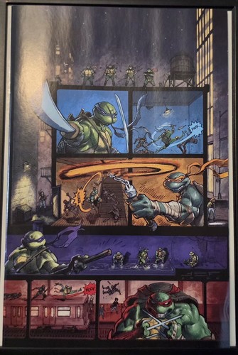 Teenage mutant ninja turtles - teenage,