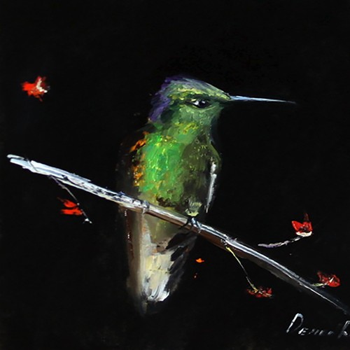 Arte collezione uccellino - arte,