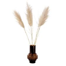 Plant in a Box 5 Fiori secchi