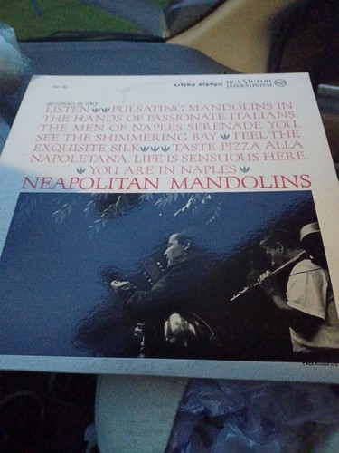Neapolitan mandolins gino - neapolitan,