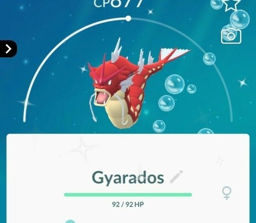 Shiny gyarados t c - -, p