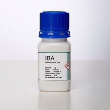 IBA | Acido indole-3-butirrico