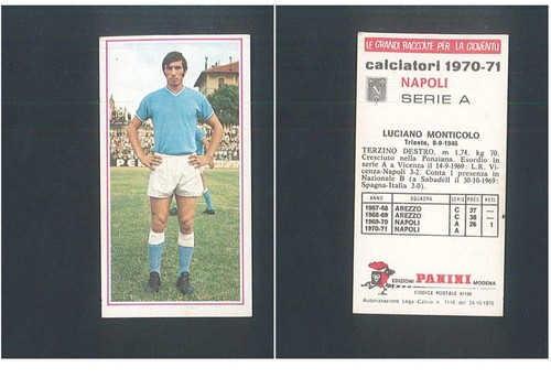 Figurina calciatori panini - figurina,