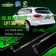 Two Rear Hatch Liftgate Lift