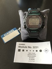 Casio DW-290-1VS