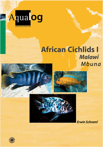 African cichlids - cichlids, i