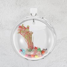 Vaso Parete Porta Piante Per