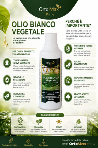 Olio bianco vegetale alta - olio,