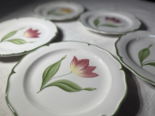Set piatti insalata vietri - piatti,