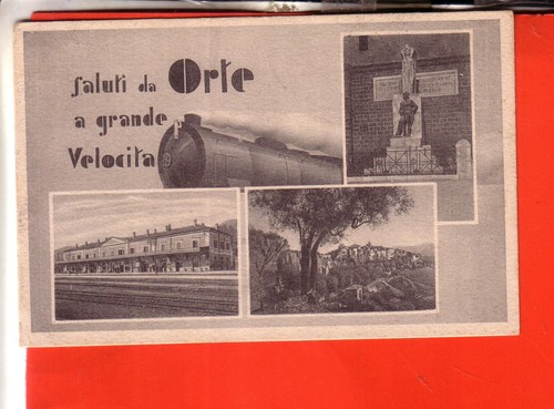 Cartolina orte viaggiata - cartolina, fp