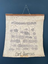 Poster botanico vintage anni