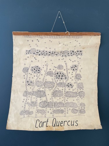 Poster botanico vintage anni
