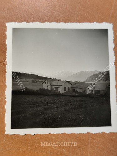 Foto ortler ortles - foto,