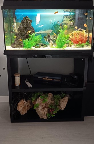 Acquario con mobile - acquario,