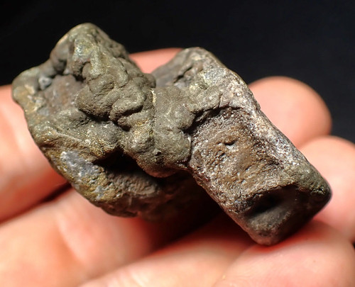 Fossil double ichthyosaur bone