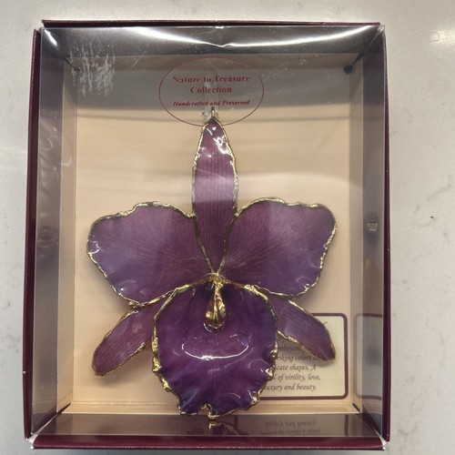 Orchidea cattleya viola - cattleya,
