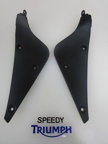 Triumph daytona 675 pannelli - triumph,