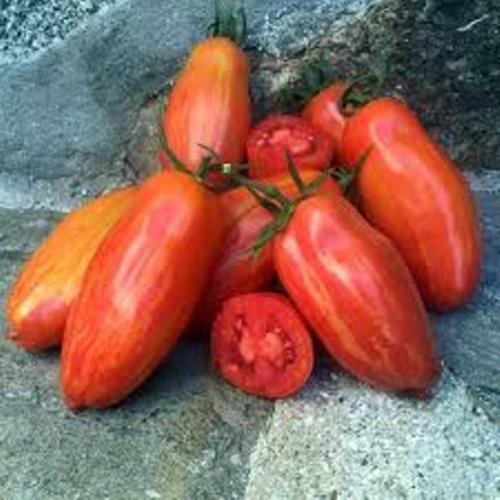 Pomodoro solar flare san - pomodoro,