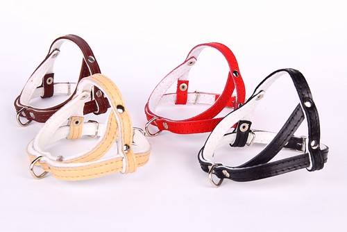 Vera pelle imbracatura cane - pelle,