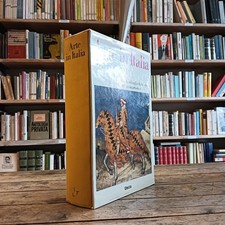 Arte in Italia. Guida ai