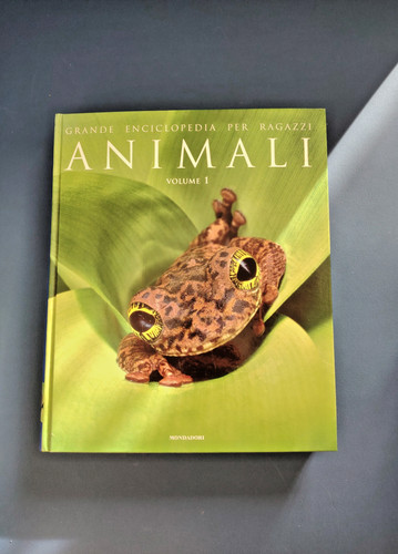 Animali vol grande - animali, –