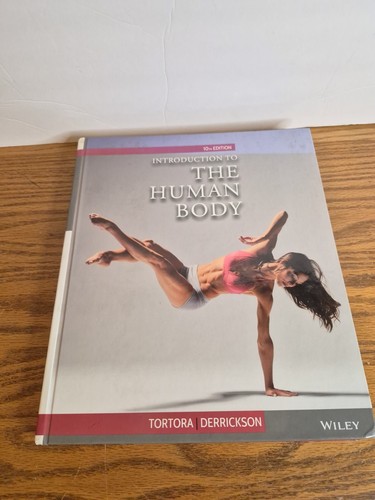 Intro the human - to,