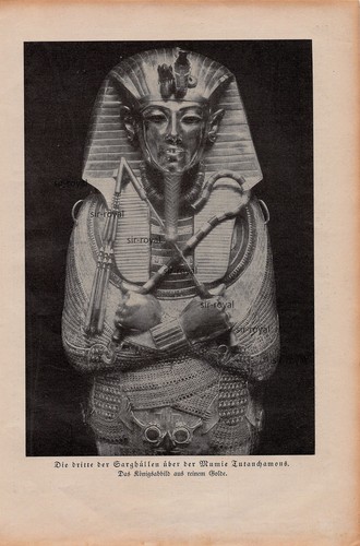 Tutankhamon sarghülle egitto - tutankhamon,