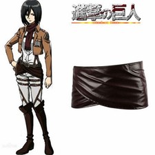 Costume Attack on Titan Survey