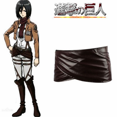 Costume attack titan survey - on,