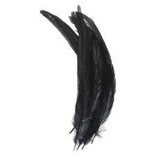 10-12" Gallo Piume,50pz Sfuso Naturale Piume Stile 1,Nero