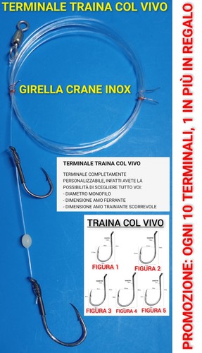 Terminale traina col vivo - vivo, su
