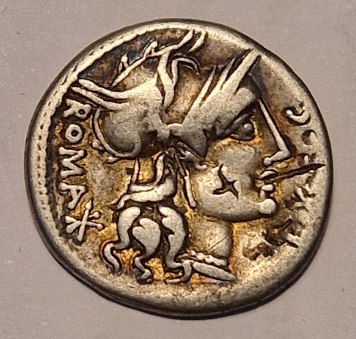 Gens sergia denario - sergia,, 116-115