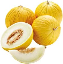 20 SEMI MELONE GIALLO SICILIANO +SPEDIZIONE GRATUITA "