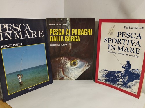 Pesca mare - in, ai
