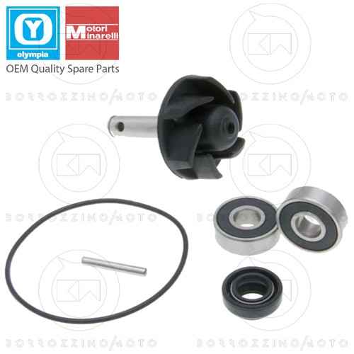 Kit revisione pompa - kit,