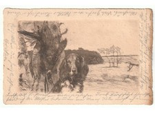 1903 cartolina Primi '900 cacciatore cane da caccia prede fagiani paesaggio