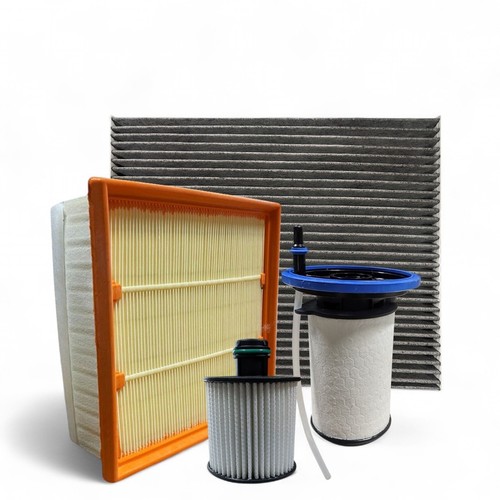 Kit tagliando fiat punto - fiat,