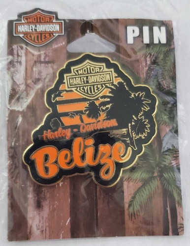 Harley davidson belize motor - harley,
