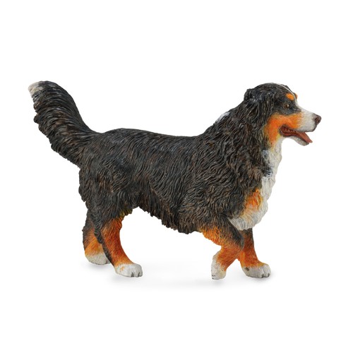 Collecta cane montagna - collecta, da