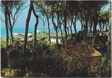 CECINA MARE - LIVORNO - VILLAGGIO TURISTICO FRANCESE - PINETA CON BUNGALOW-64482