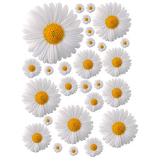 ® - Adesivi Auto Fiori