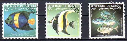 Animali pesci djibouti 1981 - animali,