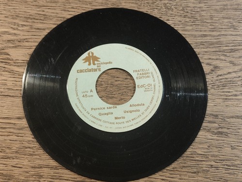 Vinile giri enciclopedia - vinile,