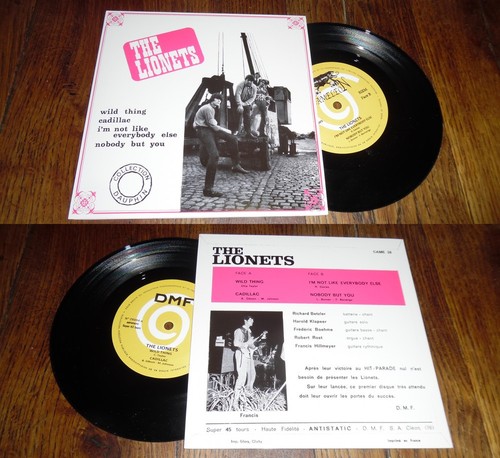 The lionets wild - –,