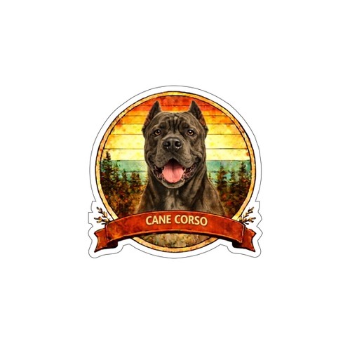 Adesivo sticker vinile