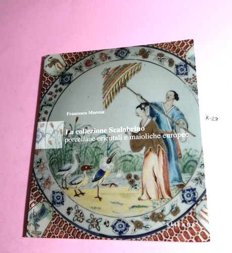 Libro ceramica collezione - libro,