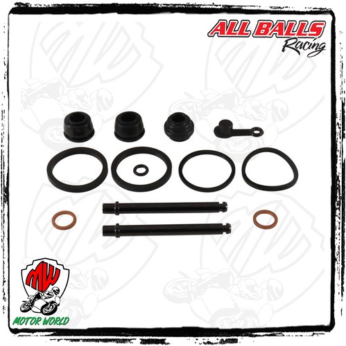 Kit revisione pinza - revisione,