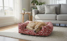 CUCCIA PER CANI INTERNO