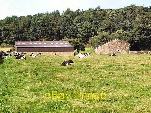 Photo 6x4 hunter hill farm - 6x4,