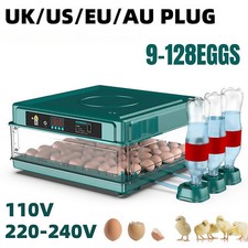 Incubatrice automatica uova